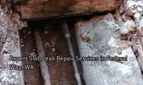 Expert Slab Leak Repair Services in Federal Way, WA
