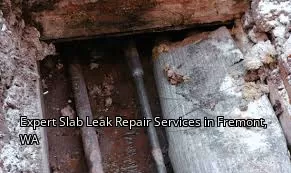 Expert Slab Leak Repair Services in Fremont, WA