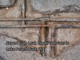 Expert Slab Leak Repair Services in Lake Forest Park, WA
