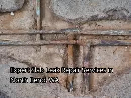 Expert Slab Leak Repair Services in North Bend, WA