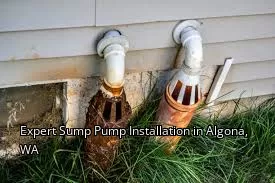 Expert Sump Pump Installation in Algona, WA