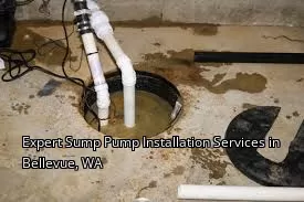 Expert Sump Pump Installation Services in Bellevue, WA