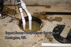 Expert Sump Pump Repair Services in Covington, WA