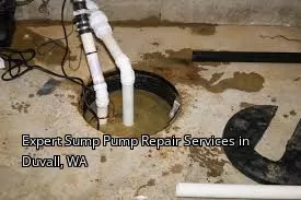 Expert Sump Pump Repair Services in Duvall, WA