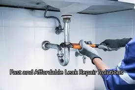 Fast and Affordable Leak Repair Solutions