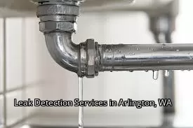 Leak Detection Services in Arlington, WA