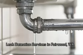 Leak Detection Services in Fairwood, WA