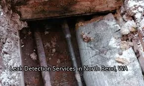 Leak Detection Services in North Bend, WA