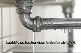 Leak Detection Services in Snohomish, WA