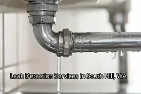 Leak Detection Services in South Hill, WA