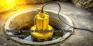 Plumbing Services for Optimal Sump Pump Functionality