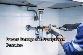 Prevent Damage with Prompt Leak Detection