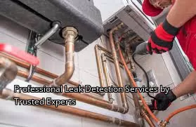Professional Leak Detection Services by Trusted Experts