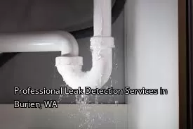 Professional Leak Detection Services in Burien, WA