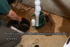 Professional Slab Leak Detection and Repair Services