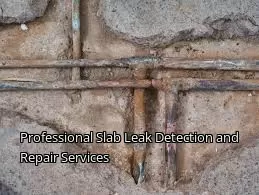 Professional Slab Leak Detection and Repair Services
