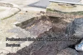 Professional Slab Leak Detection and Repair Services