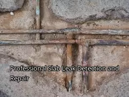 Professional Slab Leak Detection and Repair