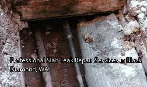 Professional Slab Leak Repair Services in Black Diamond, WA