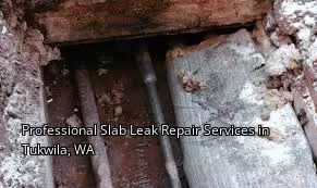 Professional Slab Leak Repair Services in Tukwila, WA
