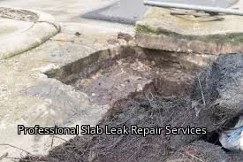Professional Slab Leak Repair Services