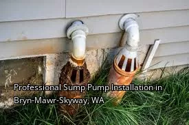 Professional Sump Pump Installation in Bryn-Mawr-Skyway, WA