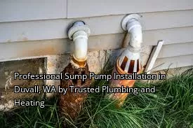 Professional Sump Pump Installation in Duvall, WA by Trusted Plumbing and Heating