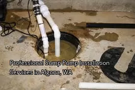 Professional Sump Pump Installation Services in Algona, WA