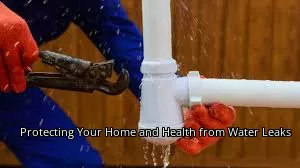 Protecting Your Home and Health from Water Leaks