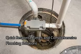 Quick Response Times and Comprehensive Plumbing Solutions
