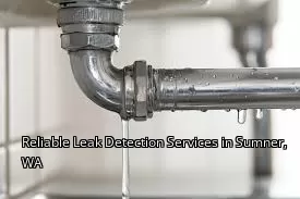 Reliable Leak Detection Services in Sumner, WA