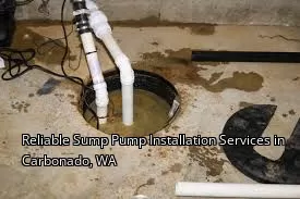 Reliable Sump Pump Installation Services in Carbonado, WA