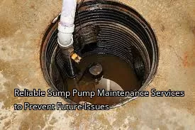 Reliable Sump Pump Maintenance Services to Prevent Future Issues