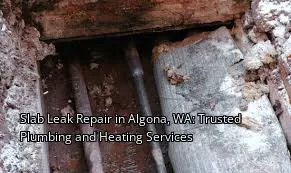 Slab Leak Repair in Algona, WA: Trusted Plumbing and Heating Services