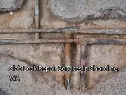 Slab Leak Repair Services in Shoreline, WA