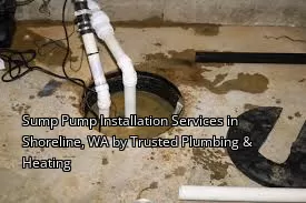 Sump Pump Installation Services in Shoreline, WA by Trusted Plumbing & Heating