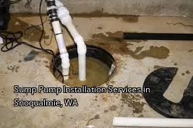 Sump Pump Installation Services in Snoqualmie, WA