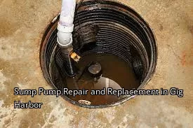 Sump Pump Repair and Replacement in Gig Harbor