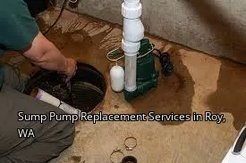 Sump Pump Replacement Services in Roy, WA