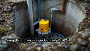 Sump Pump Services in Federal Way, WA