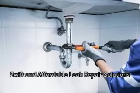 Swift and Affordable Leak Repair Solutions
