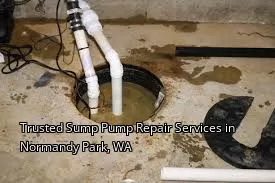 Trusted Sump Pump Repair Services in Normandy Park, WA