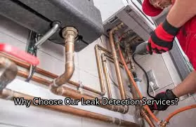 Why Choose Our Leak Detection Services?