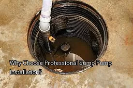 Why Choose Professional Sump Pump Installation?