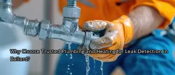 Why Choose Trusted Plumbing and Heating for Leak Detection in Ballard?
