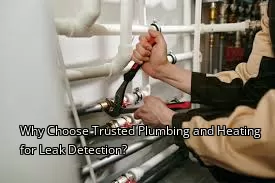 Why Choose Trusted Plumbing and Heating for Leak Detection?