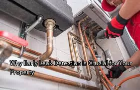 Why Early Leak Detection is Crucial for Your Property