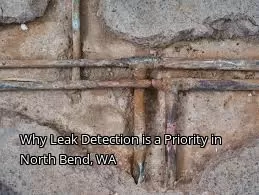 Why Leak Detection is a Priority in North Bend, WA