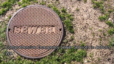 Comprehensive Emergency Sewer Services in Auburn, WA