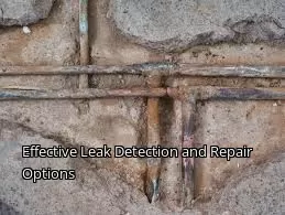 Effective Leak Detection and Repair Options Effective Leak Detection and Repair Options